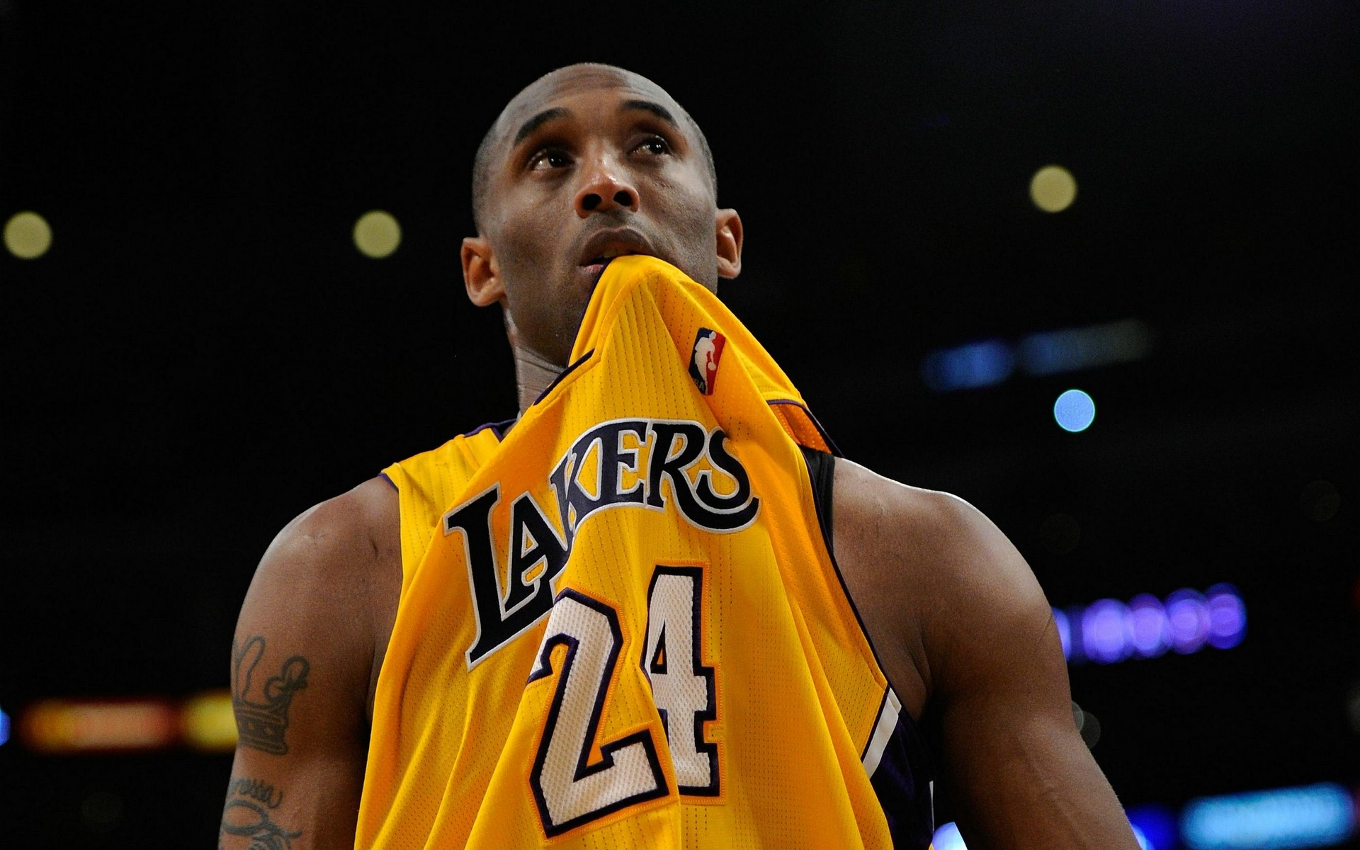 王泽桦-硕士研究生